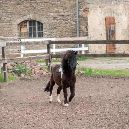 Appartement Sonnenschloss Walbeck (Mansfeld-Sudharz)