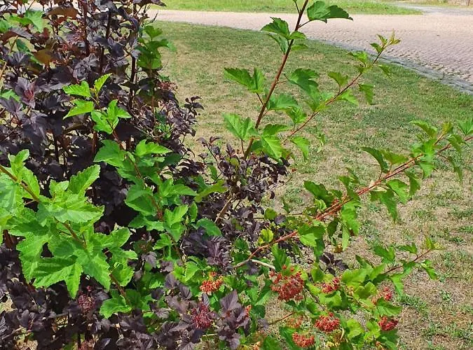 Apartman Sonnenschloss *