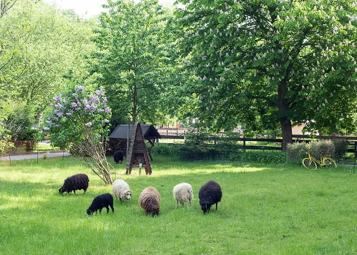 Sonnenschloss 公寓