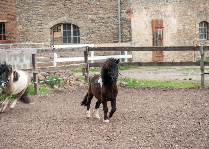 Apartman Sonnenschloss Walbeck (Mansfeld-Sudharz)